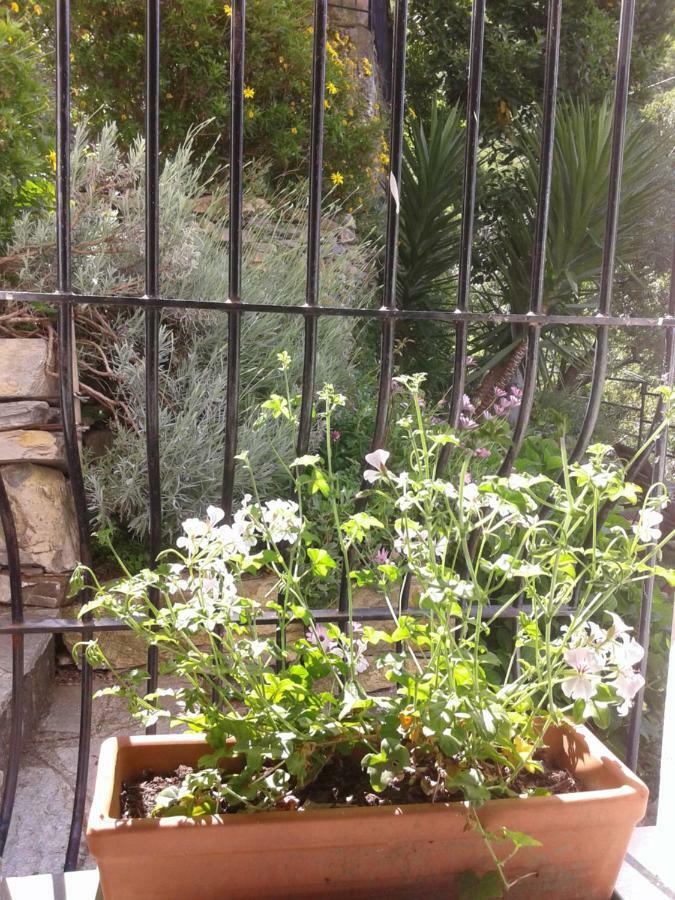 B&B I Glicini Vescina Екстериор снимка