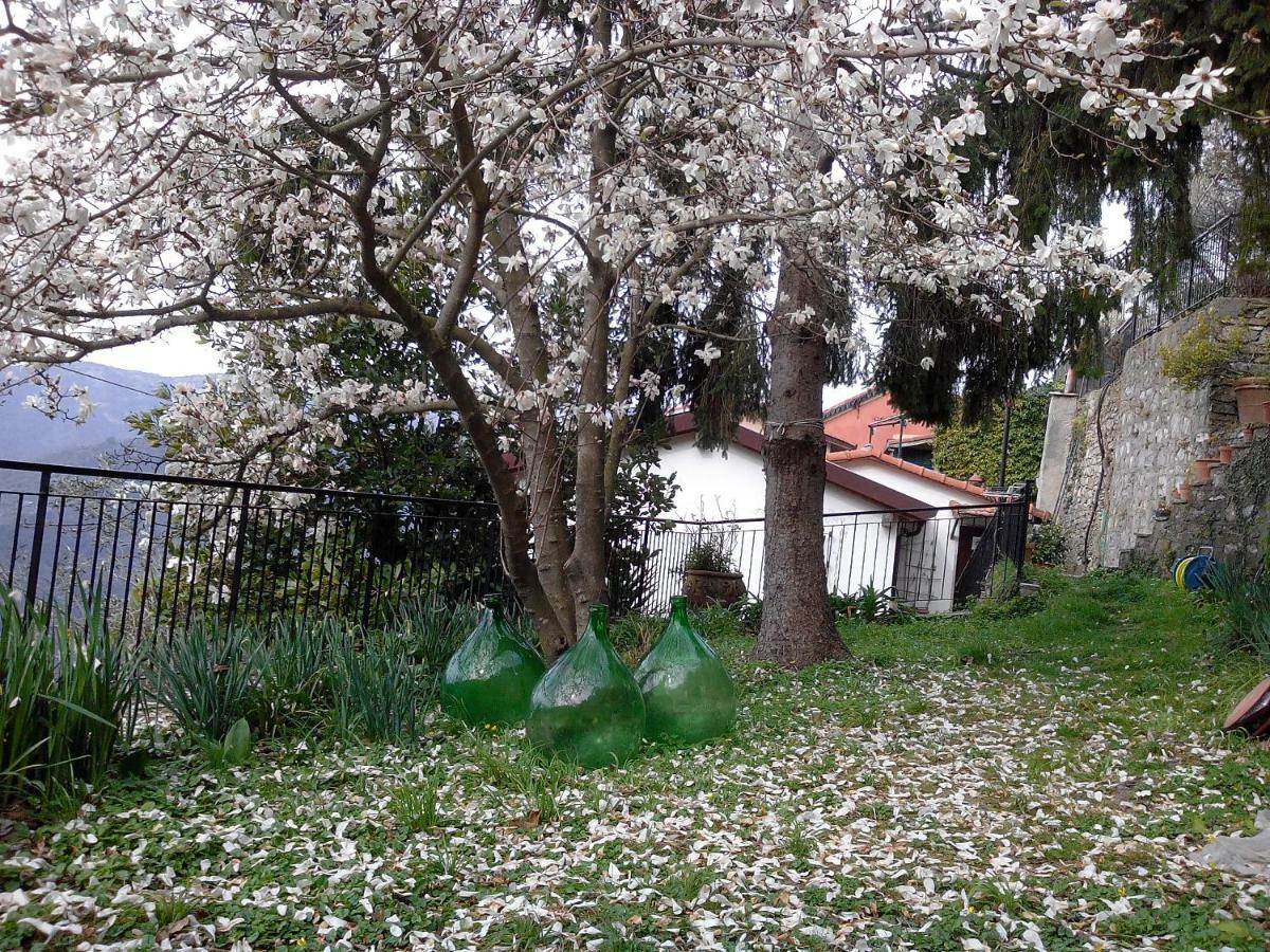 B&B I Glicini Vescina Екстериор снимка