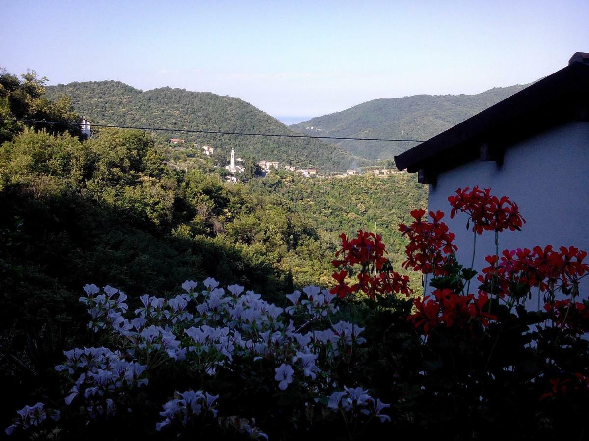 B&B I Glicini Vescina Екстериор снимка